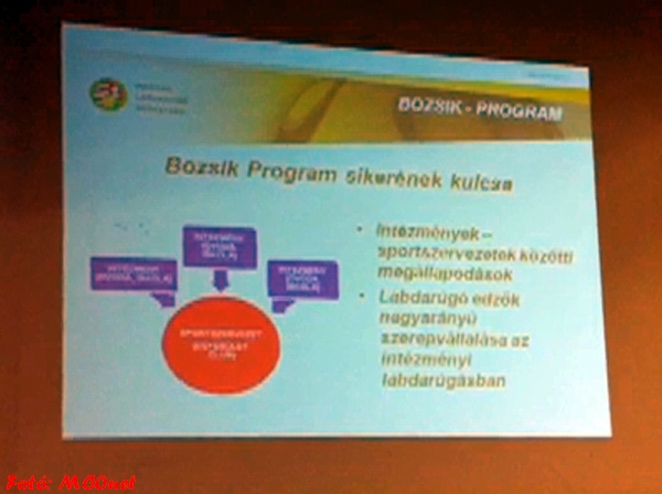 Bozsik programja
